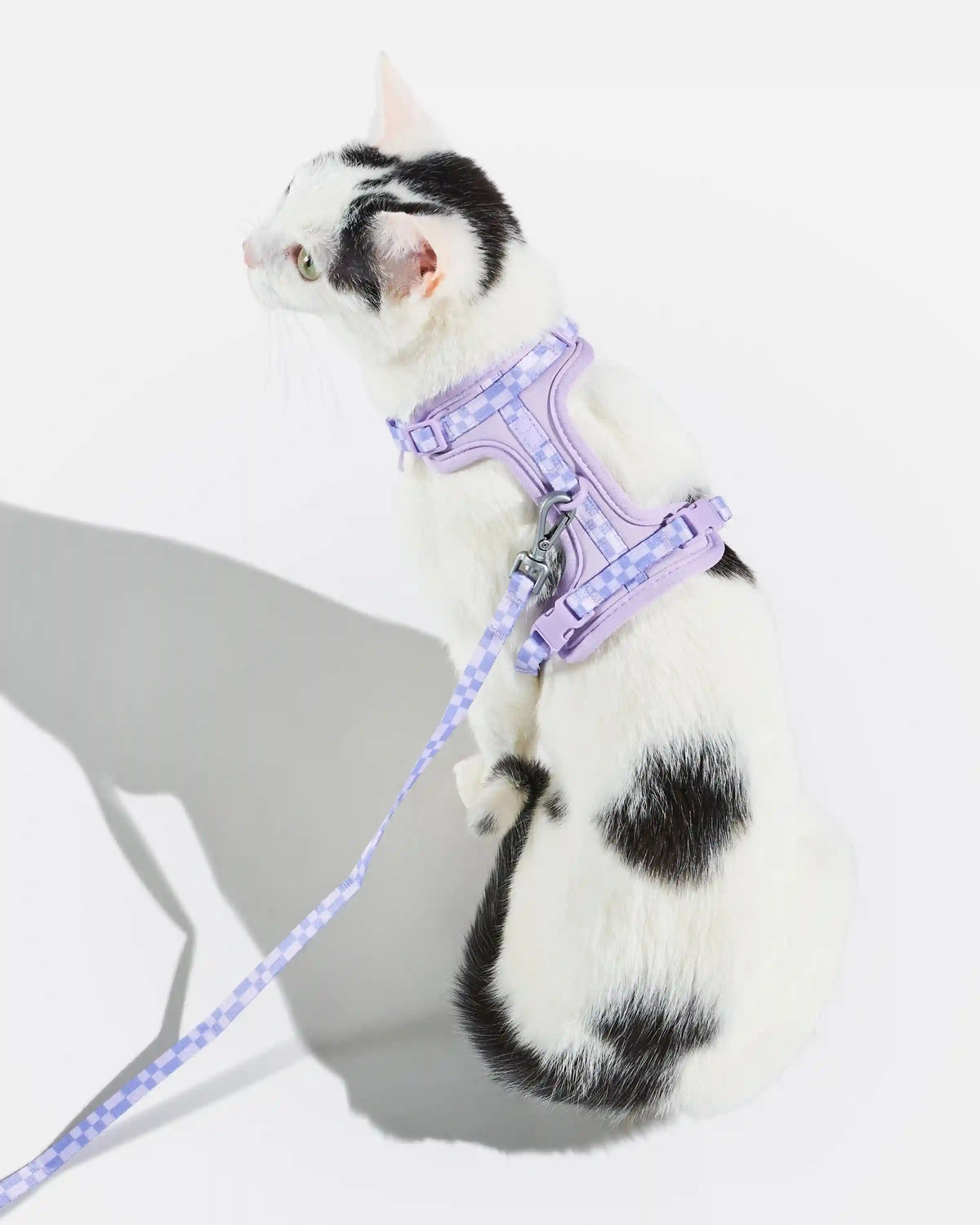 Cat Harness & Leash