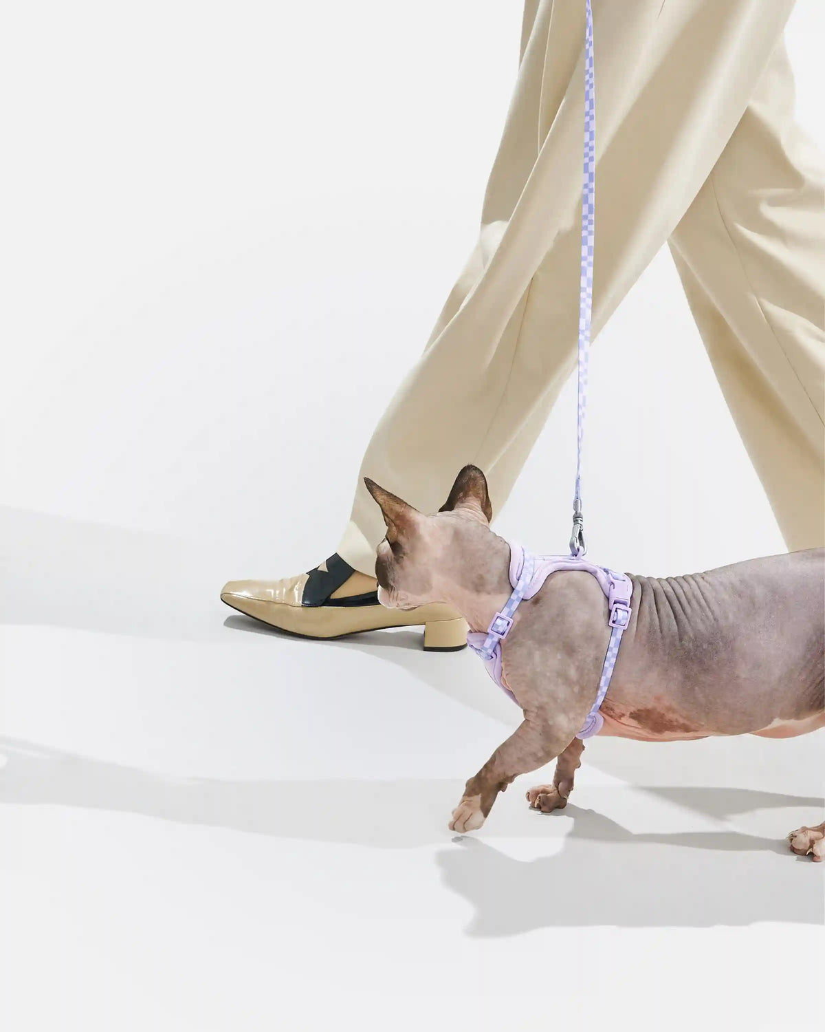 Cat Harness & Leash
