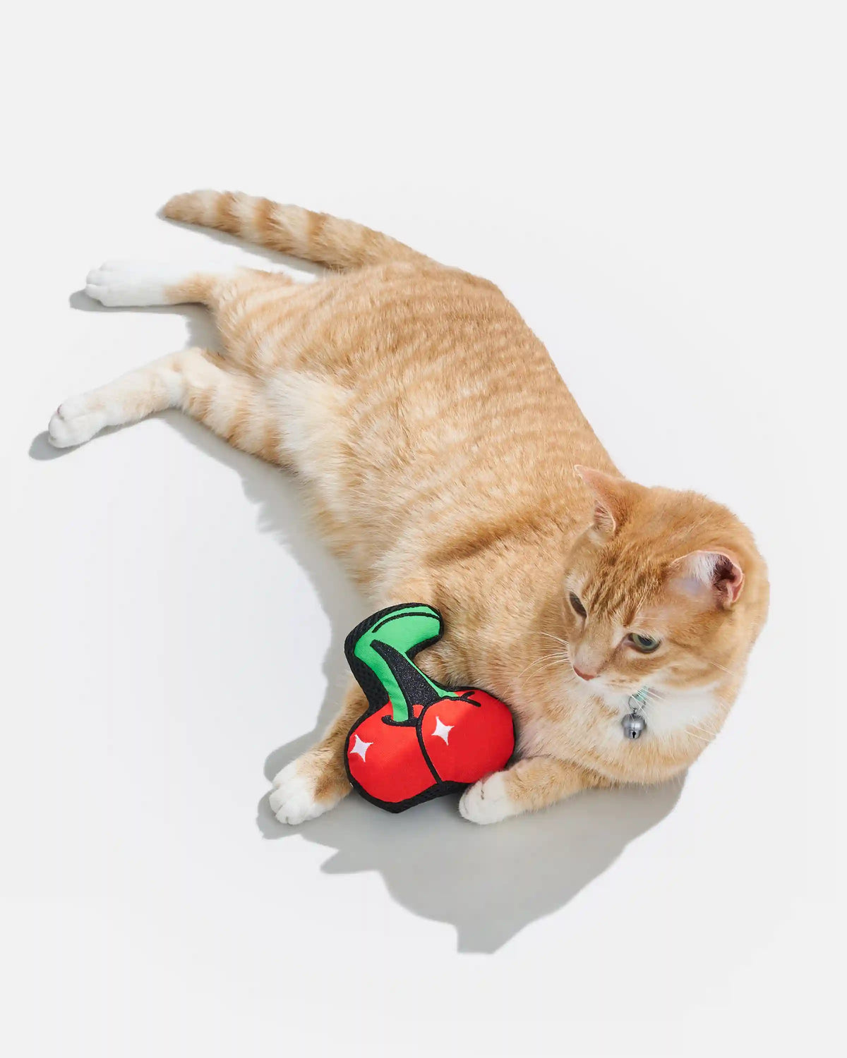 Playful Plush Cat Toy
