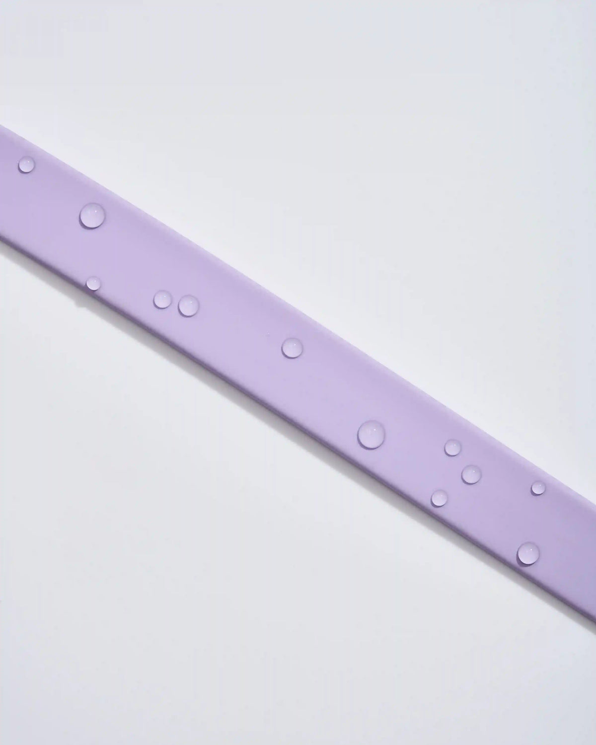 Waterproof Collar + Lightweight Leash Walk Kit