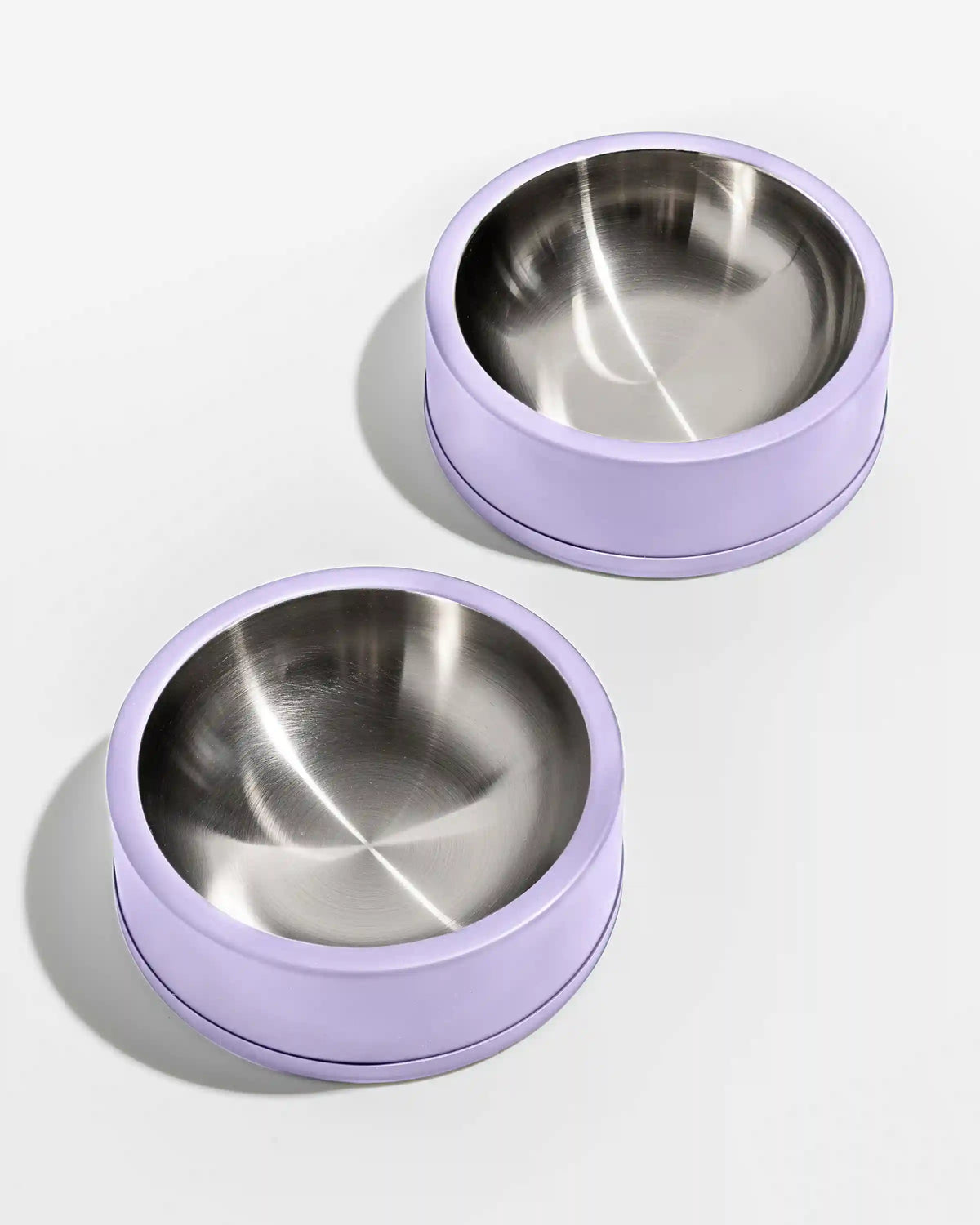 Dog Bowl