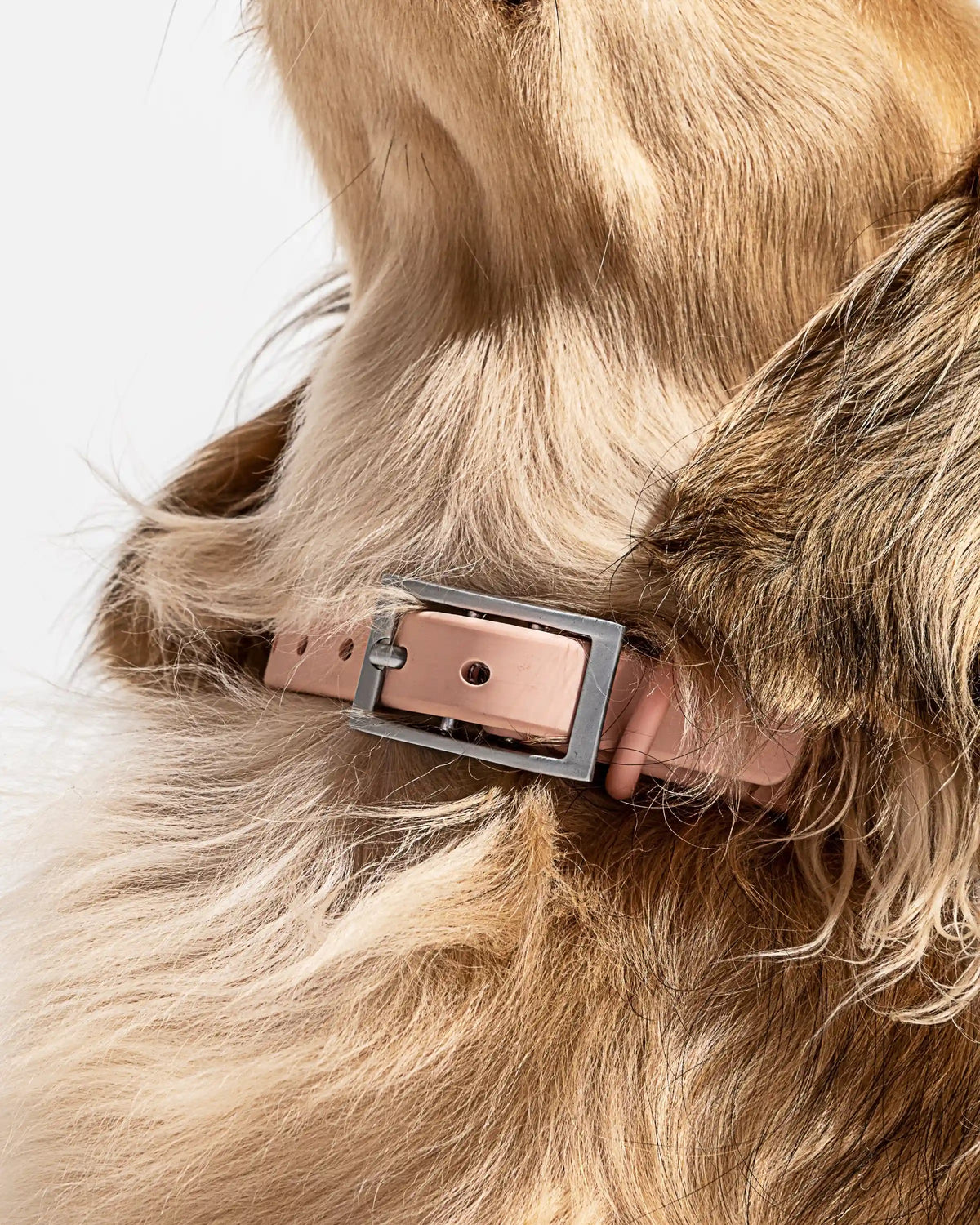 Waterproof Dog Collar