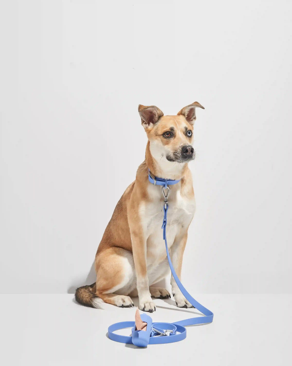 Waterproof Dog Collar