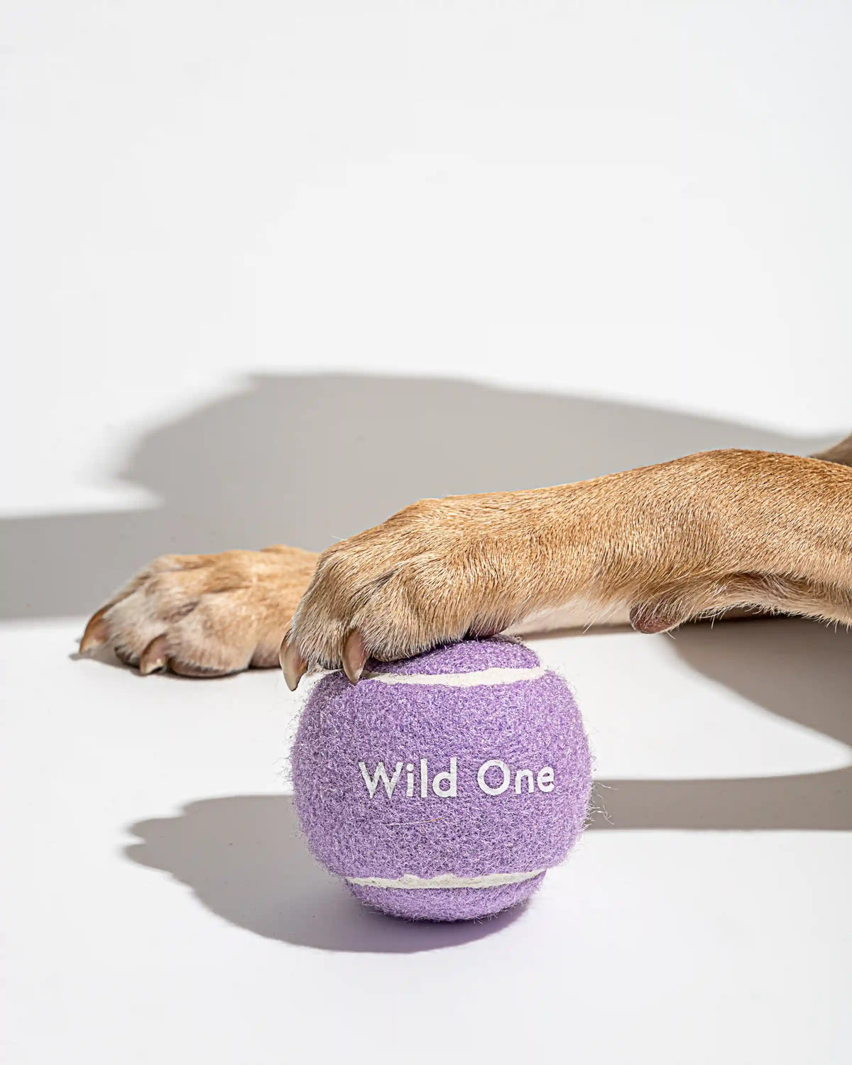 Tennis Balls 4-Pack