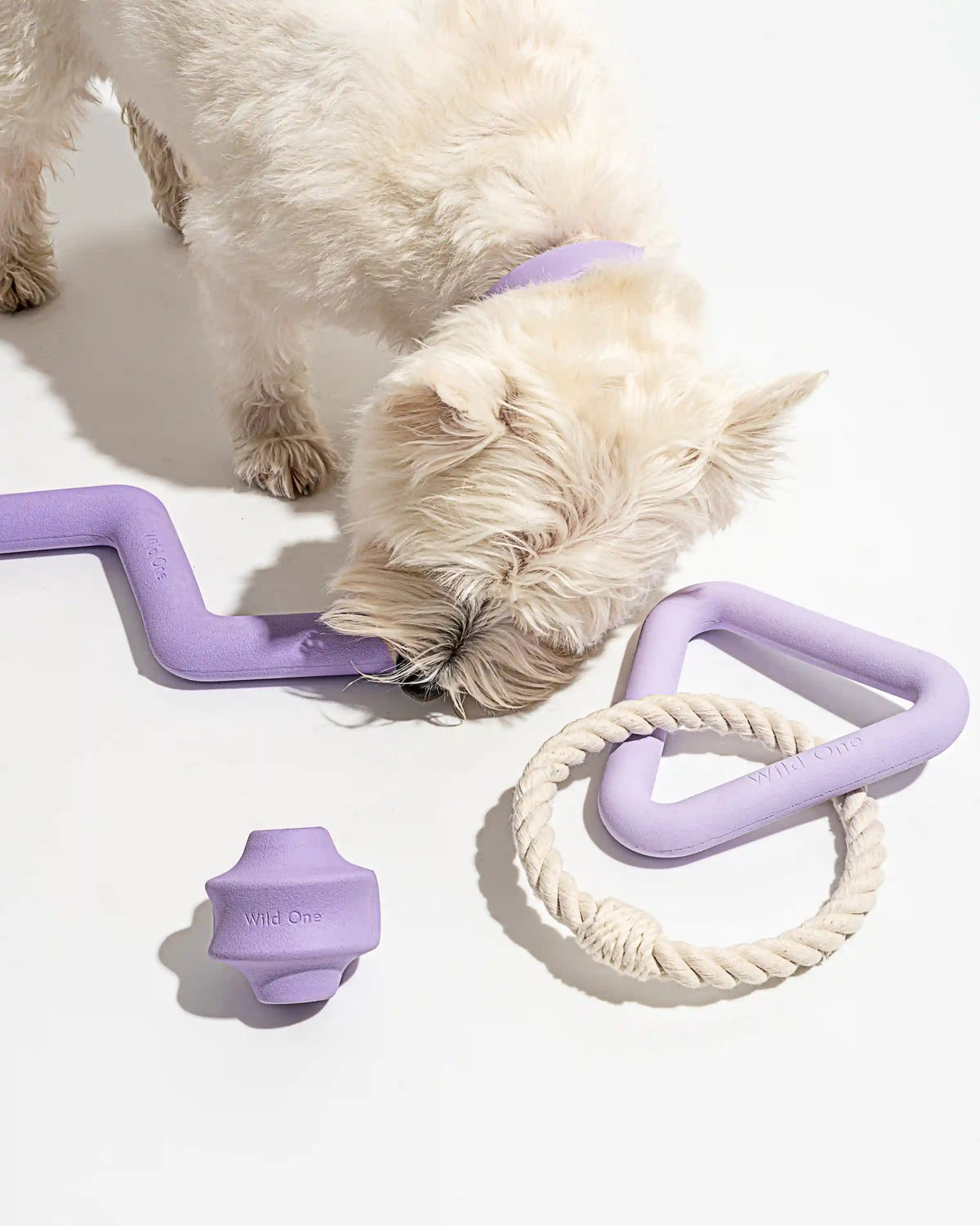 Dog Toy Kit