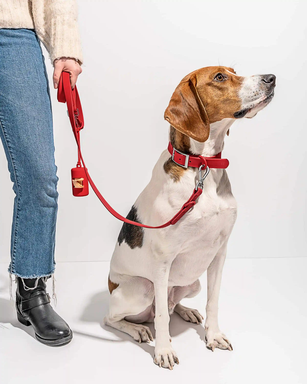 Waterproof Dog Collar