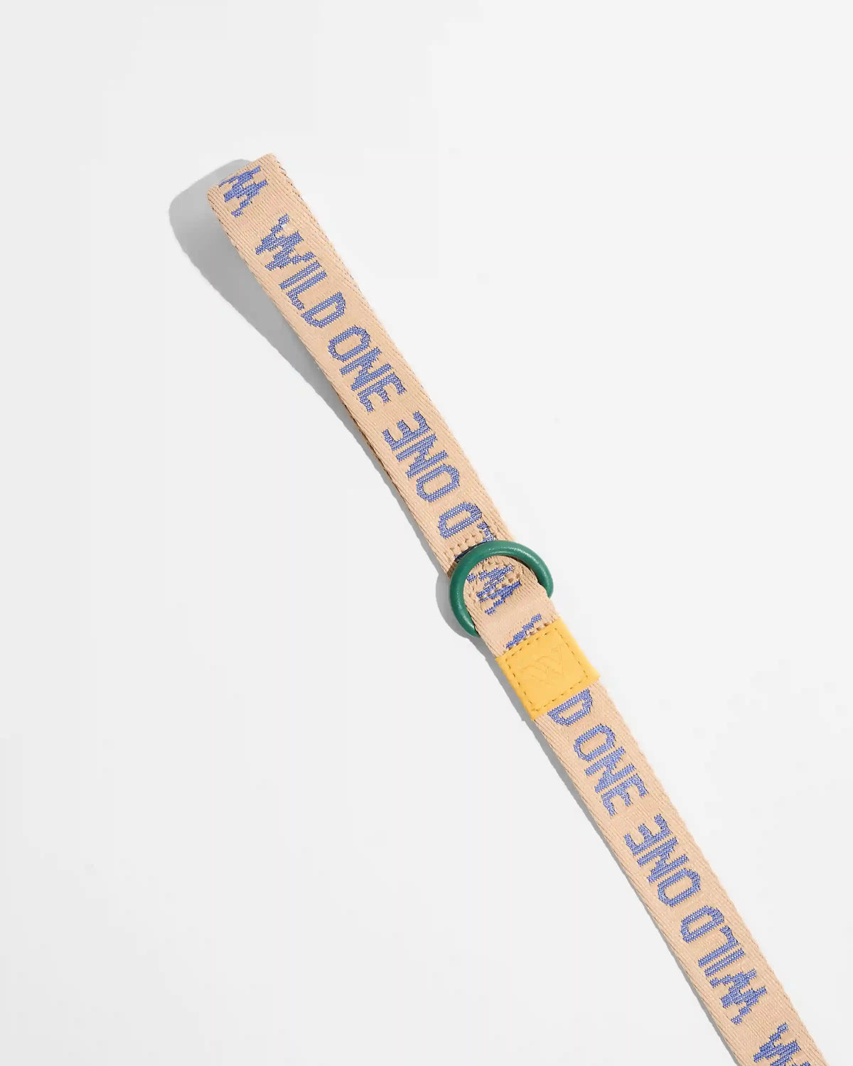 Lightweight Dog Leash